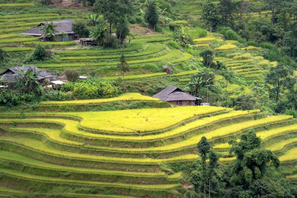 Kho gạo của Kinh Doanh Sỉ Và Lẻ Trái Cây Bốn Mùa Tuyết Mai